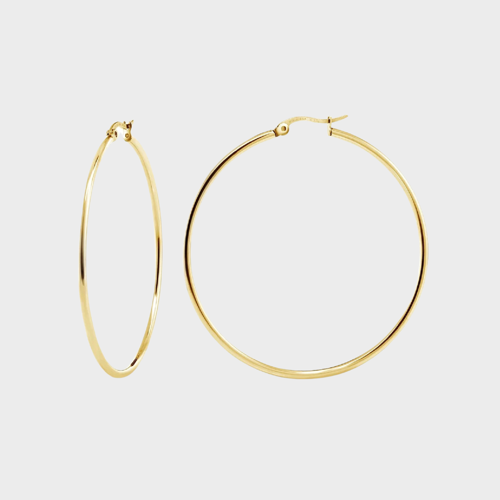 Hoop Set of Two Earrings
